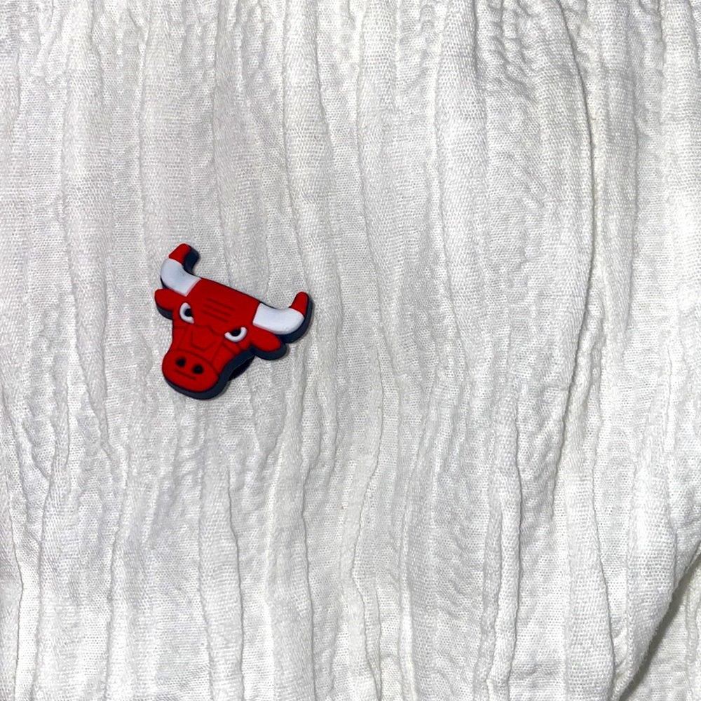 Chicago bulls croc charm